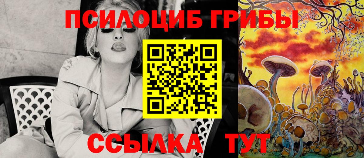 Галлюциногенные грибы MAGIC MUSHROOMS  Вход с VPN  Славянск-на-Кубани 