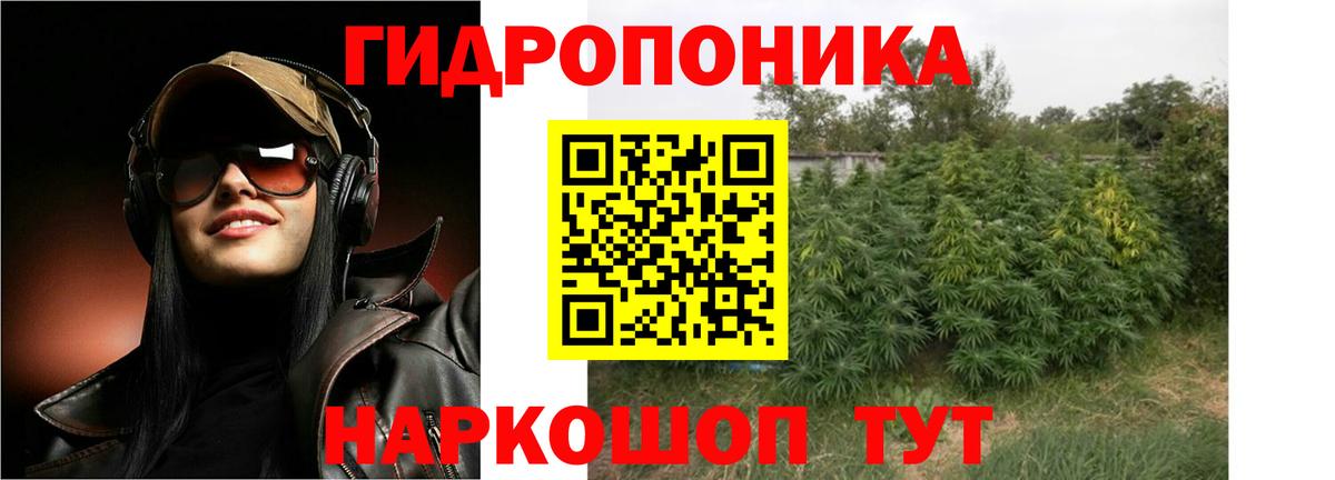 Шишки марихуана план Славянск-на-Кубани